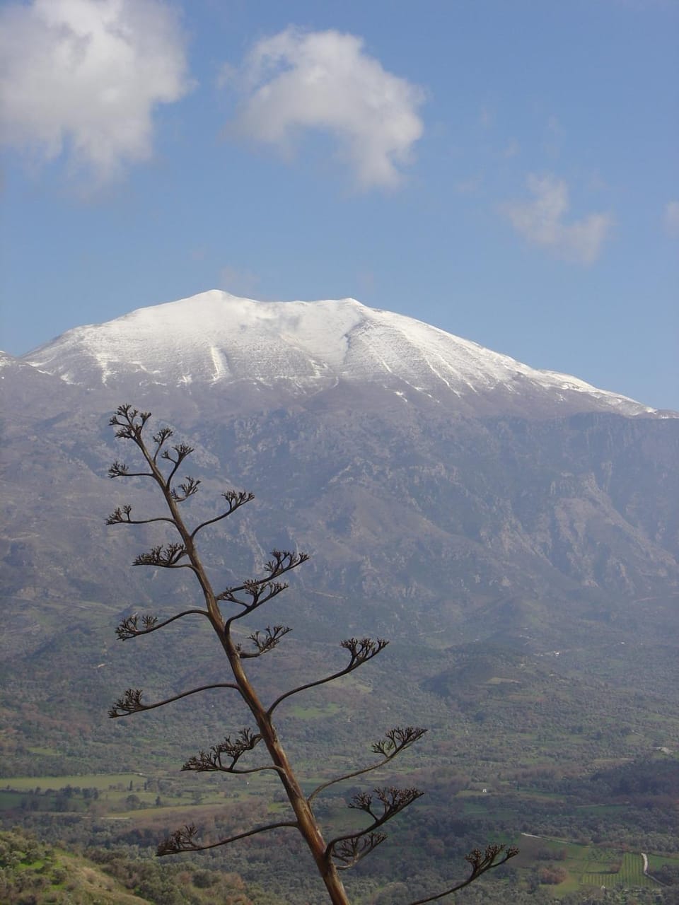 Kouriton House Country House in Crete