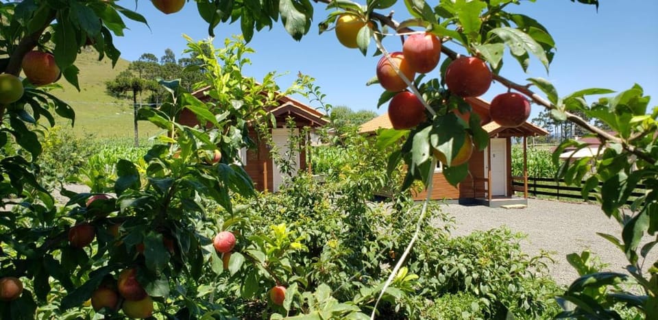 Amanhecer na Serra Bed and Breakfast in State of Santa Catarina