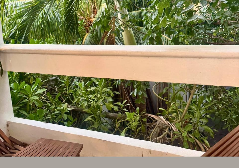 Balcony/Terrace, Garden view