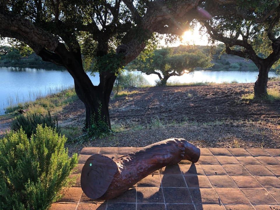 Fontes - A essência do Alentejo com lago privado Villa in Évora District, Portugal