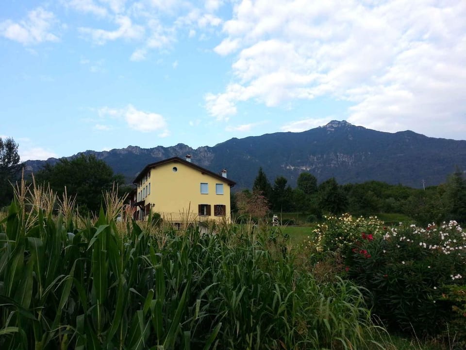 Property building, Summer