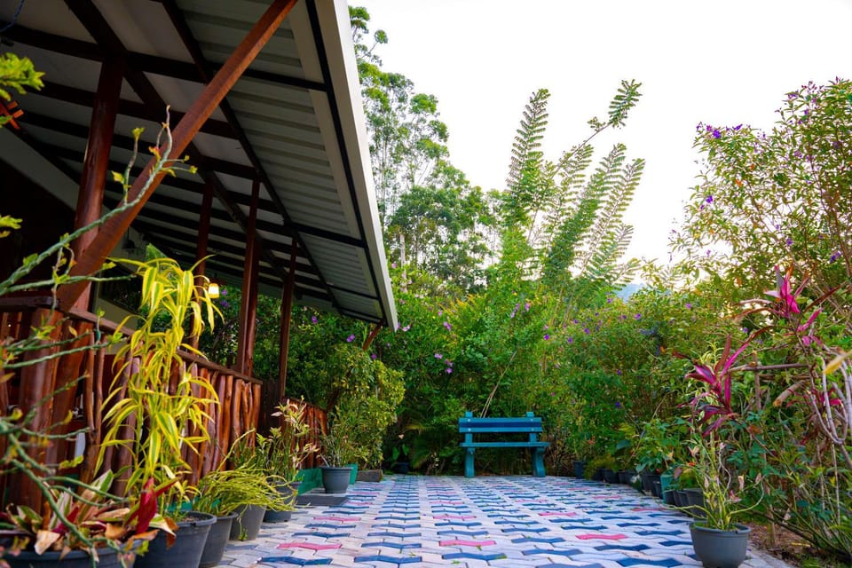 Garden view