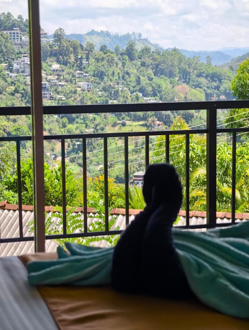 Mountain view