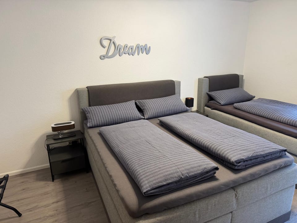 Apartment Simone Apartment in Lörrach