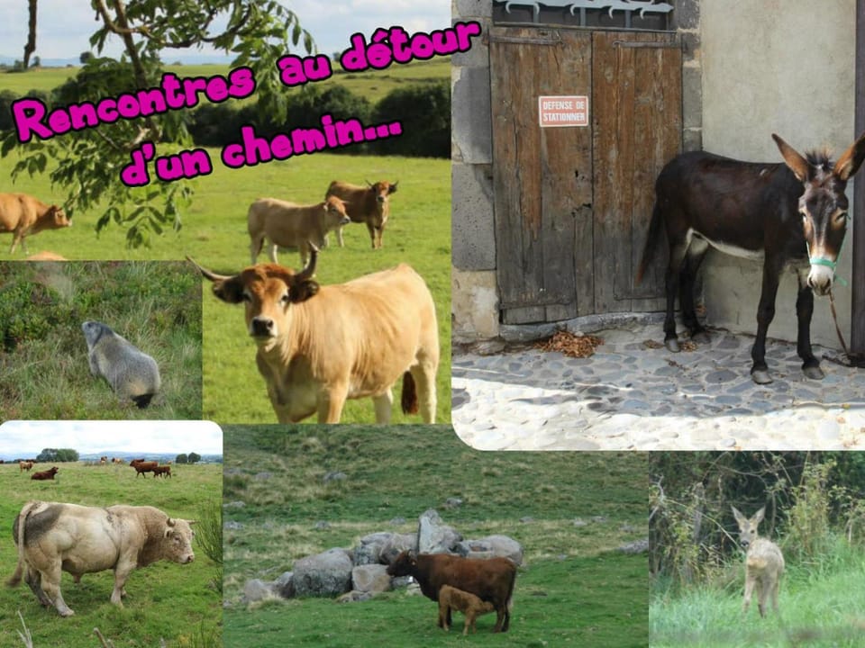 appartement 1er étage dans maison individuelle Apartment in Auvergne-Rhône-Alpes