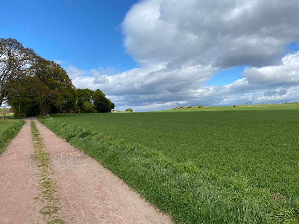 Druid House Lodge Apartment in Scotland