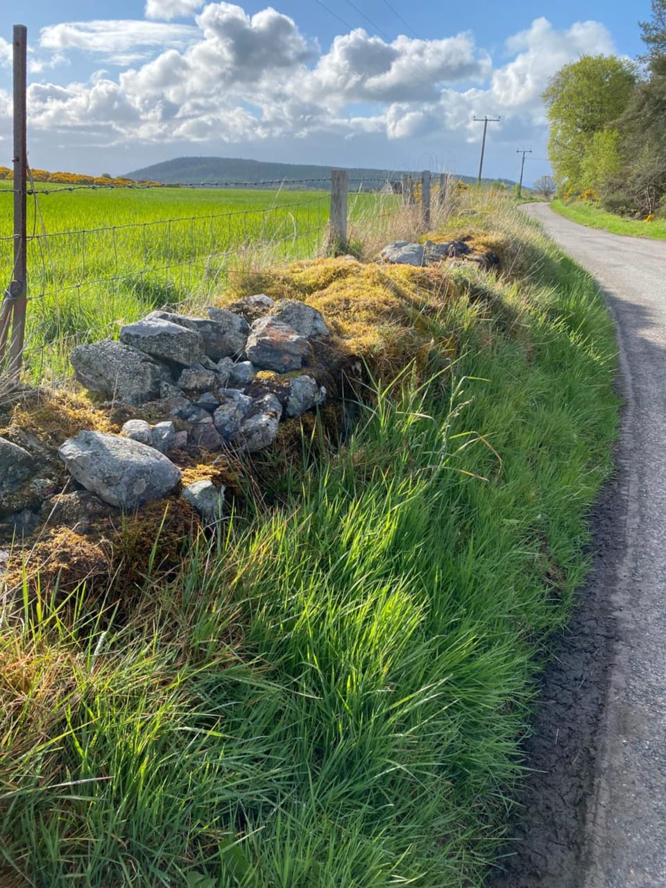 Druid House Lodge Apartment in Scotland