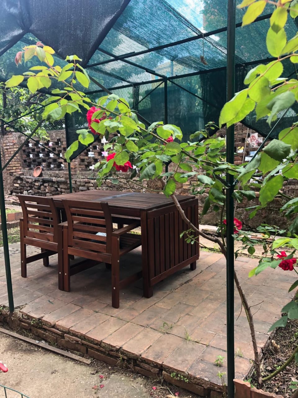 Patio, Garden