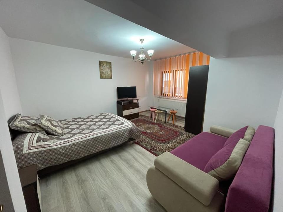 Apartament Mioritza 2A Apartment in Romania