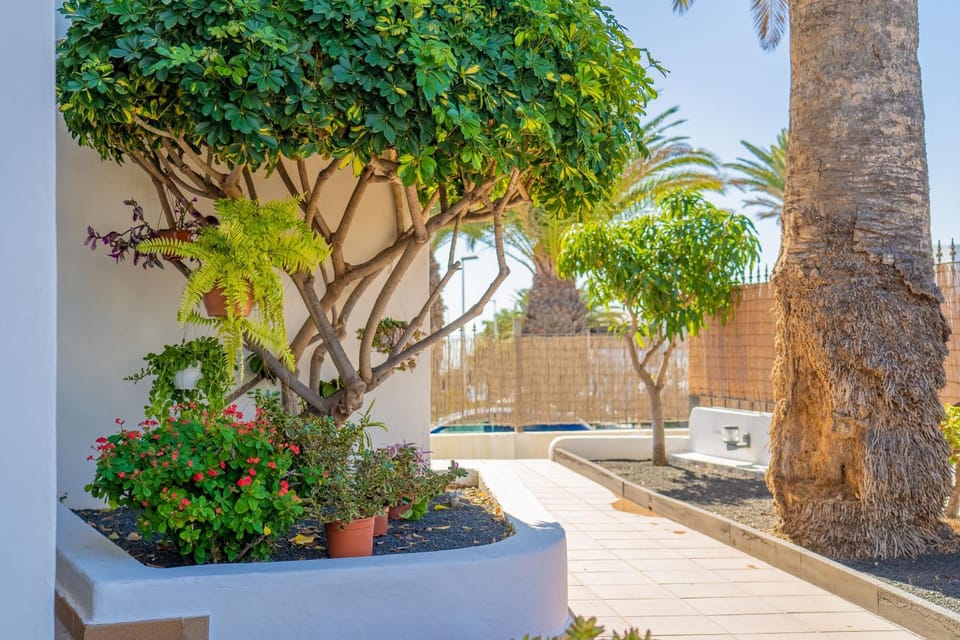 Apartamentos Isla de Lobos - Adults Only Apartment in Puerto del Carmen