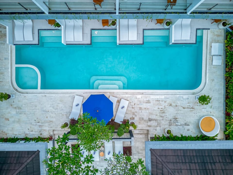 Day, Pool view, Swimming pool