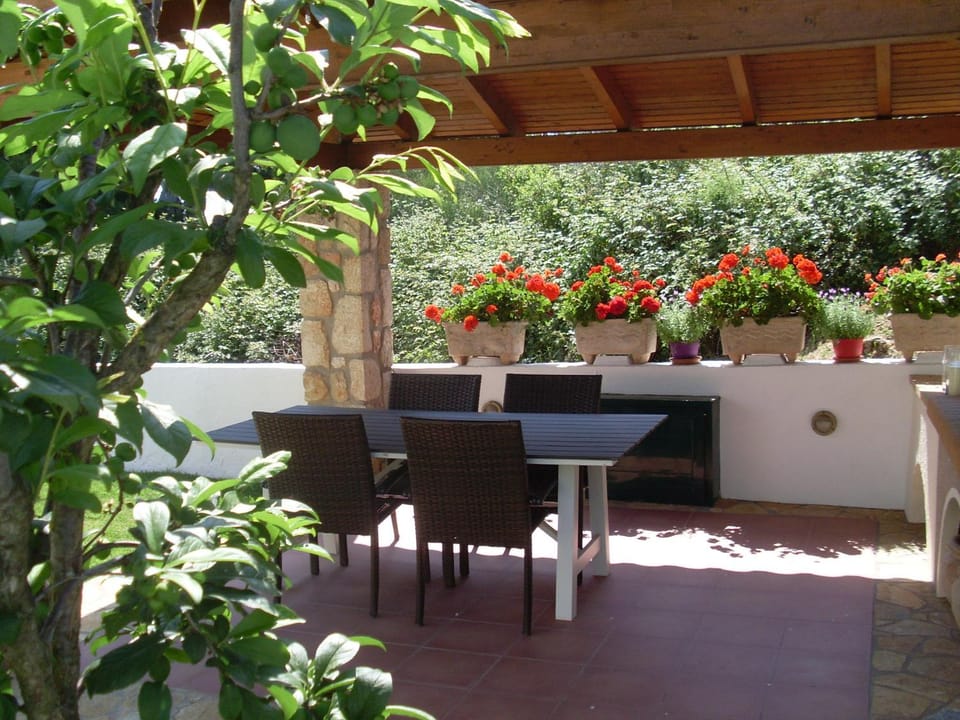 Villa Amelia Villa in Cephalonia