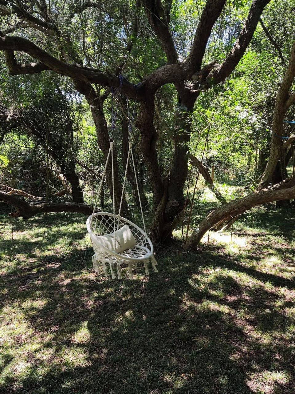 Cabaña El Trisquel Chalet in Maldonado Department, Uruguay