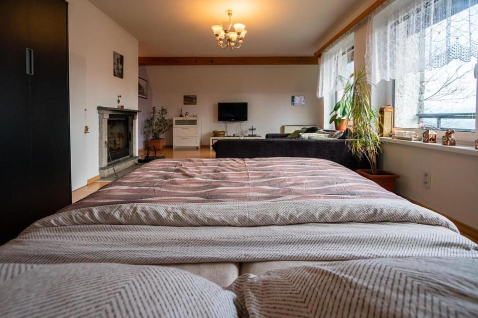 Bed, TV and multimedia, Photo of the whole room