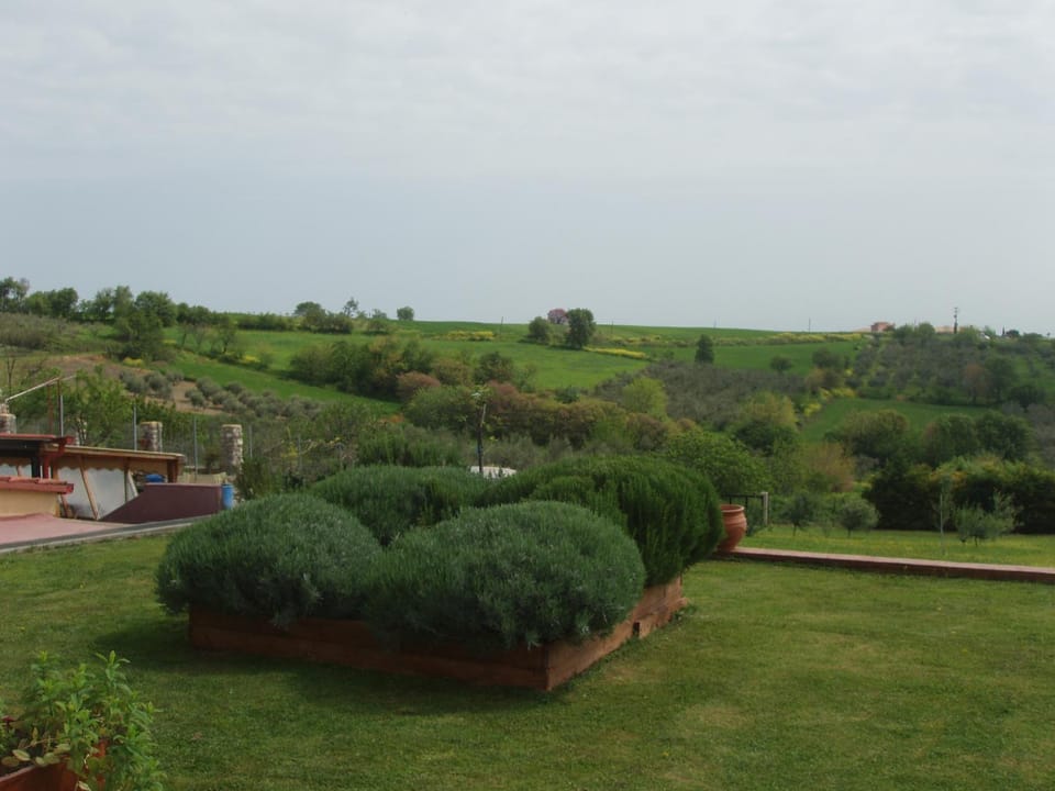 Natural landscape, Garden view