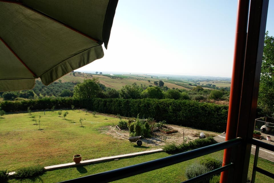 Natural landscape, Garden, Garden view