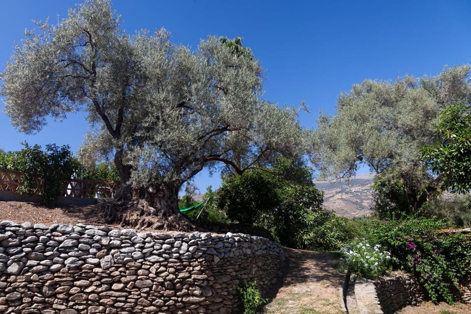 Natural landscape, On site
