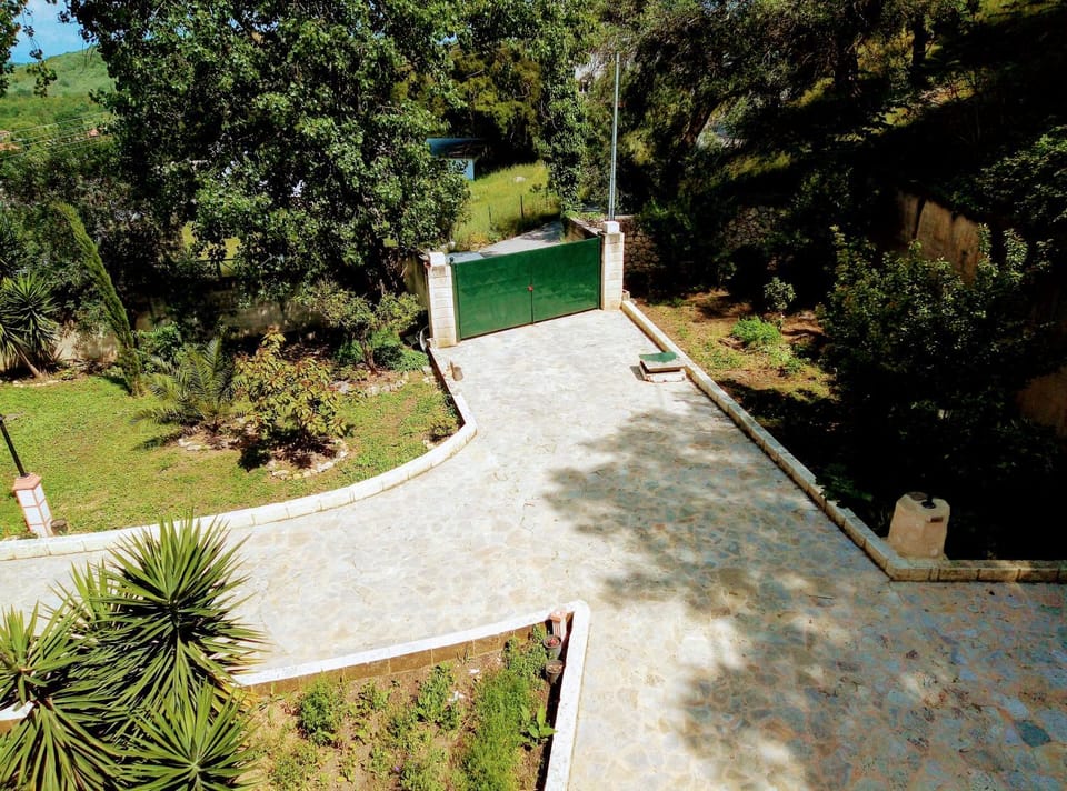 Garden view