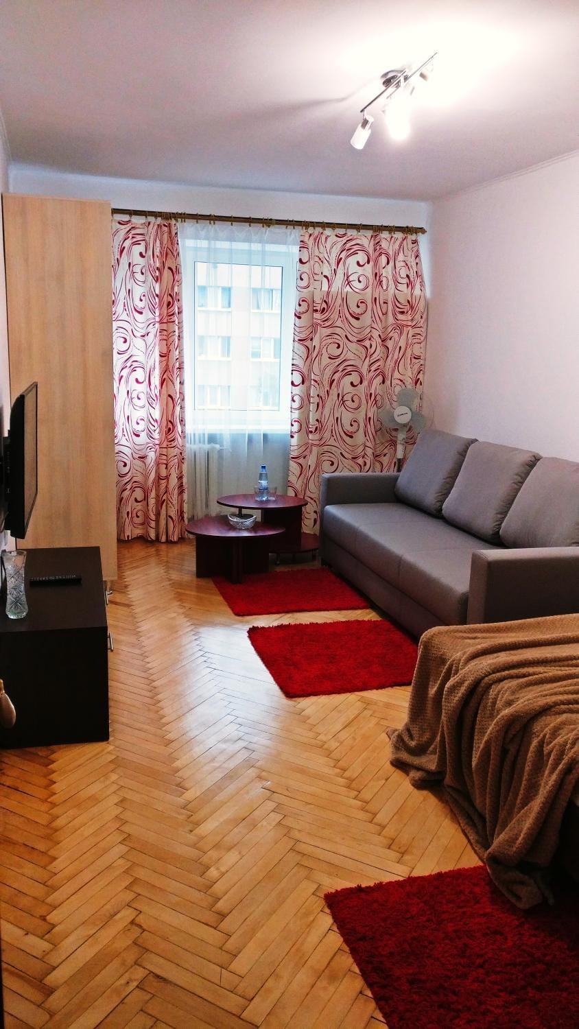 Very nice Apartment in L'viv Apartment in Lviv
