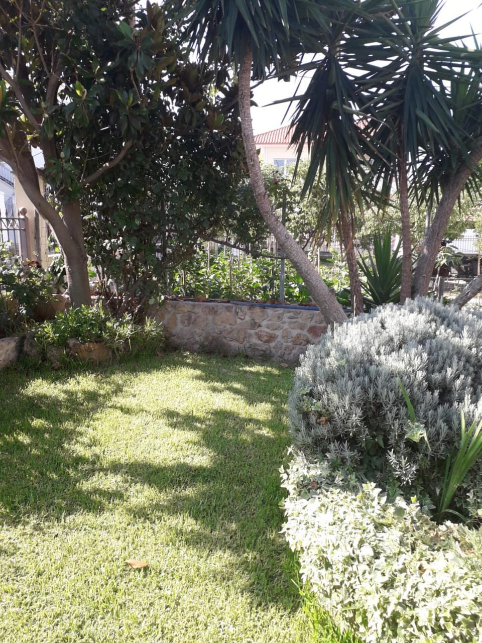 Roses House in Thasos