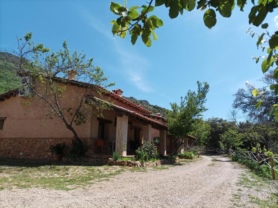 Property building, Facade/entrance, Off site, Garden