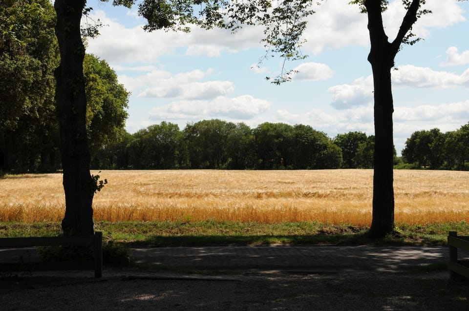 Neighbourhood, Natural landscape