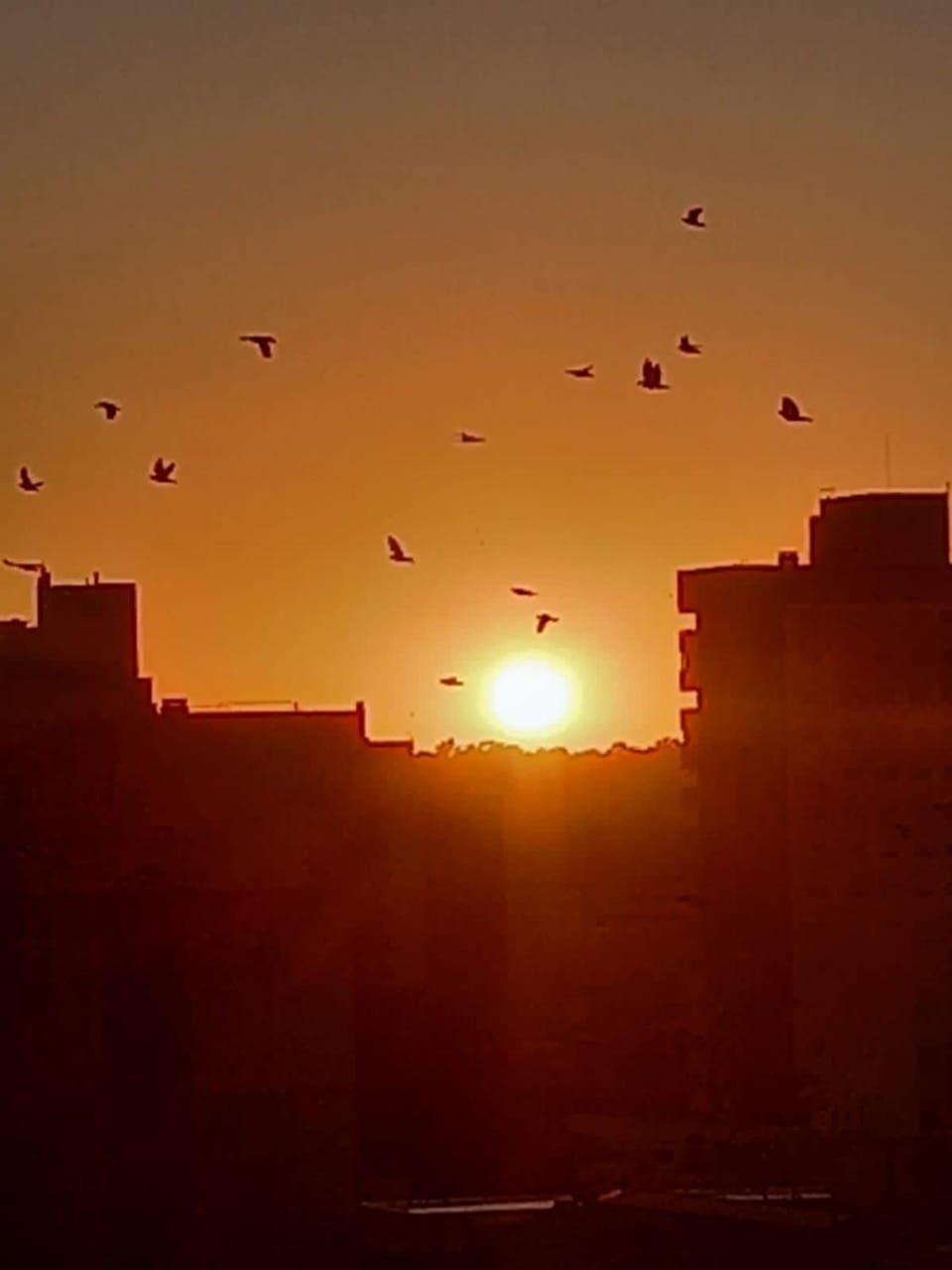 Lindisimo depto centro Bahía Apartment in Bahía Blanca