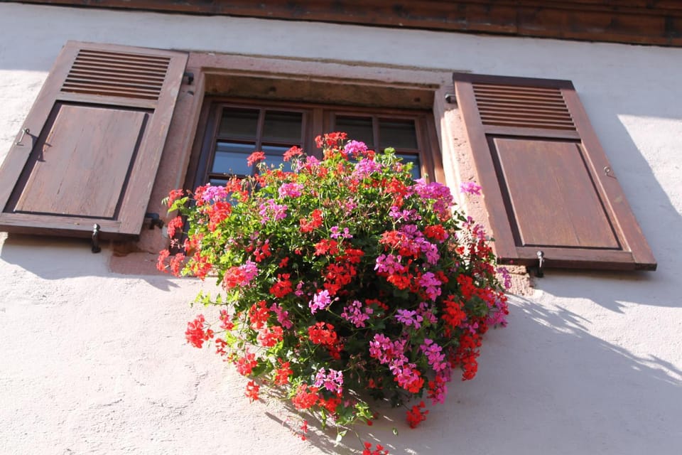 Summer