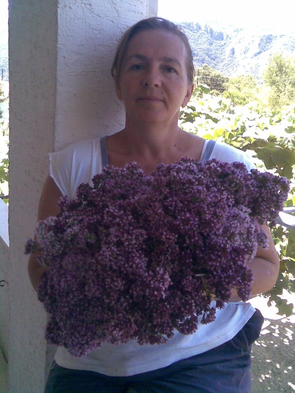 Vacation home Nature lodge in Podgorica Municipality, Montenegro