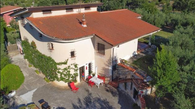 Nearby landmark, Day, Summer, Beach, On site, Garden view