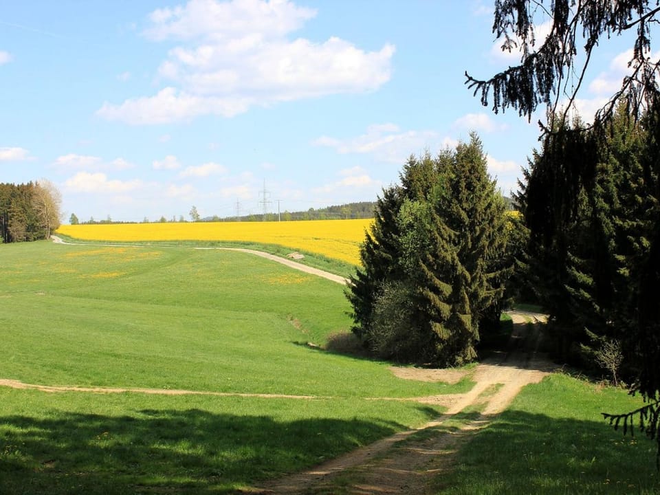 Natural landscape