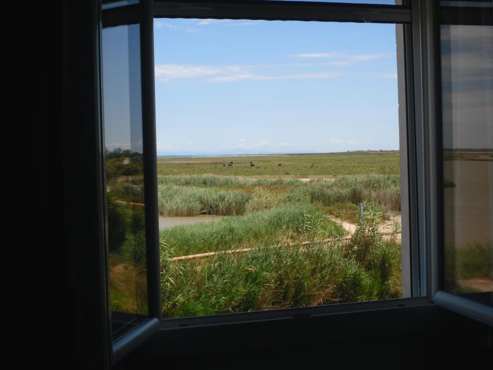 Chambre les flamants, climatisation, avec vue imprenable sur les étangs, petit déjeuner offert Bed and Breakfast in Saintes-Maries-de-la-Mer