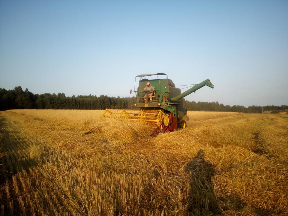Gospodarstwo Agroturystyczne Kamez Farm Stay in Poland