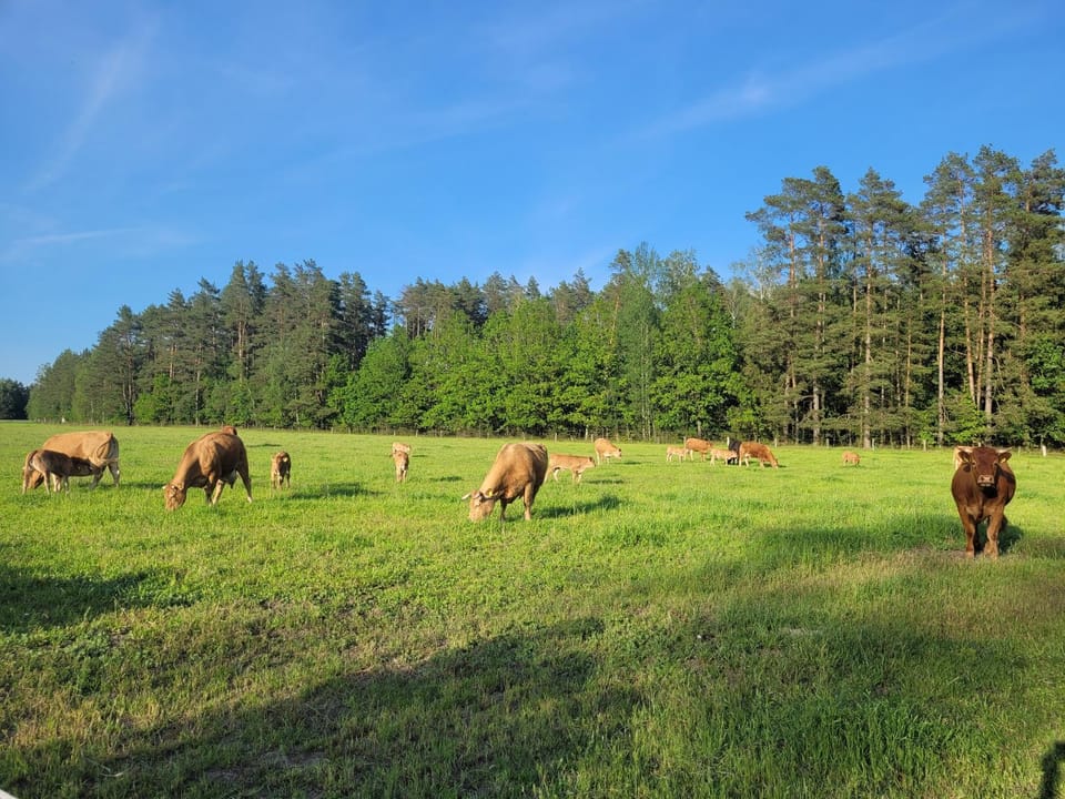 Gospodarstwo Agroturystyczne Kamez Farm Stay in Poland