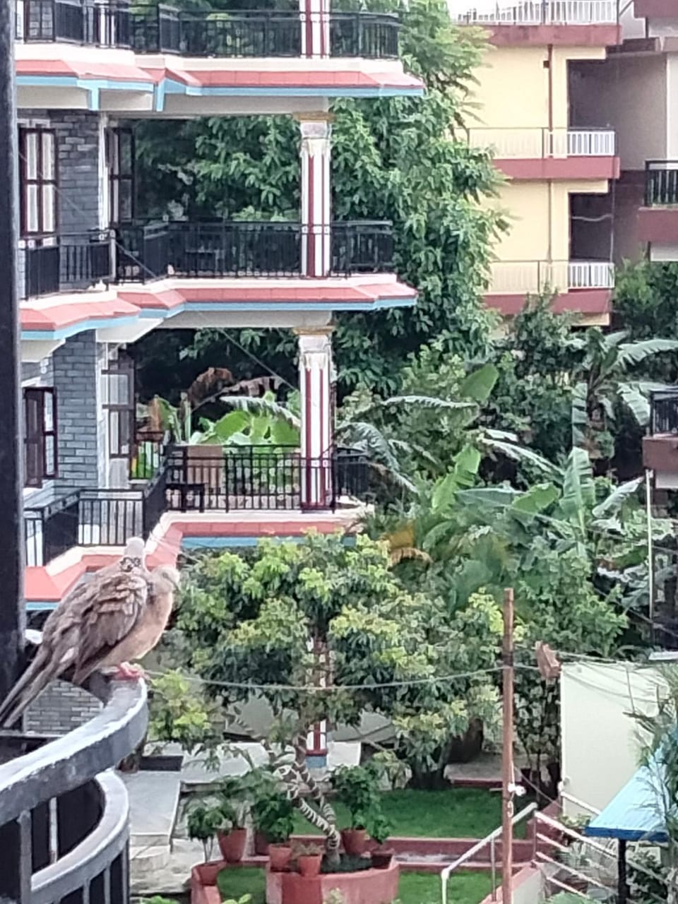 Sunset guest house Bed and Breakfast in Bagmati Province, Nepal