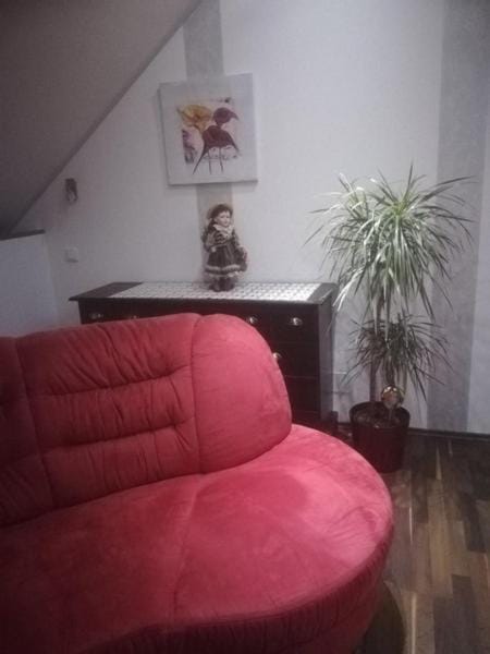 Vronis-Apartment Apartment in Upper Austria