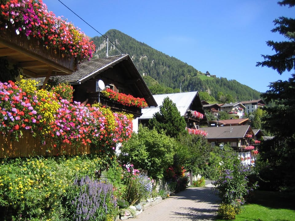 Neighbourhood, Summer