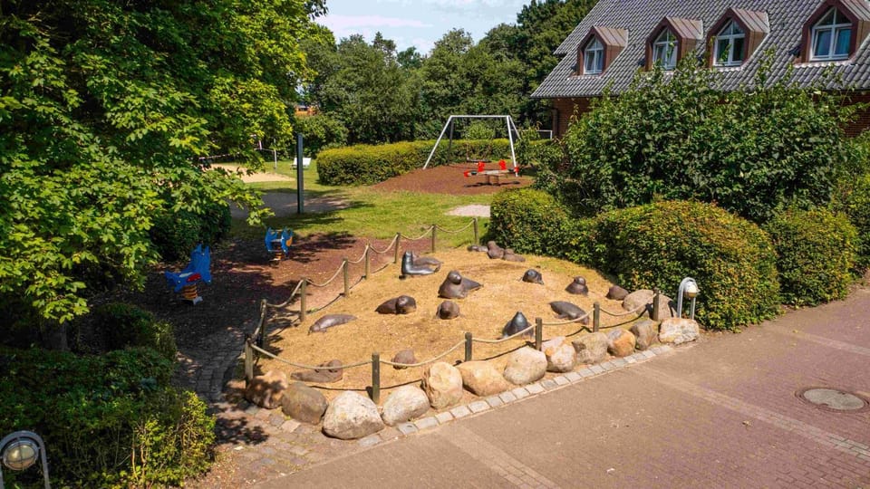 Children play ground