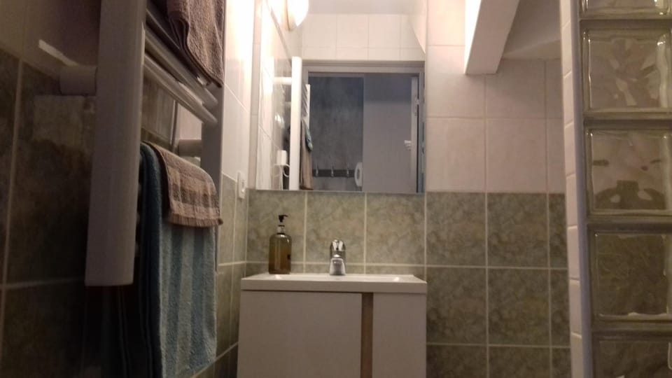 Shower, Toilet