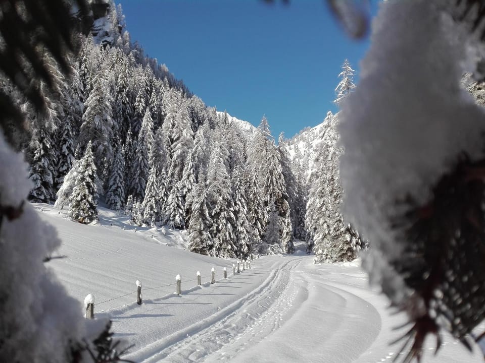 Natural landscape, Winter, Hiking