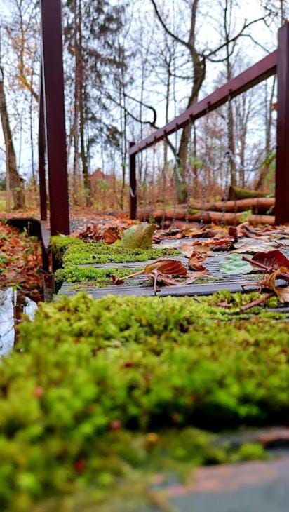 Natural landscape