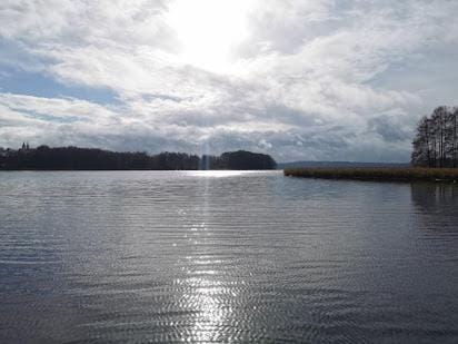 Lake view