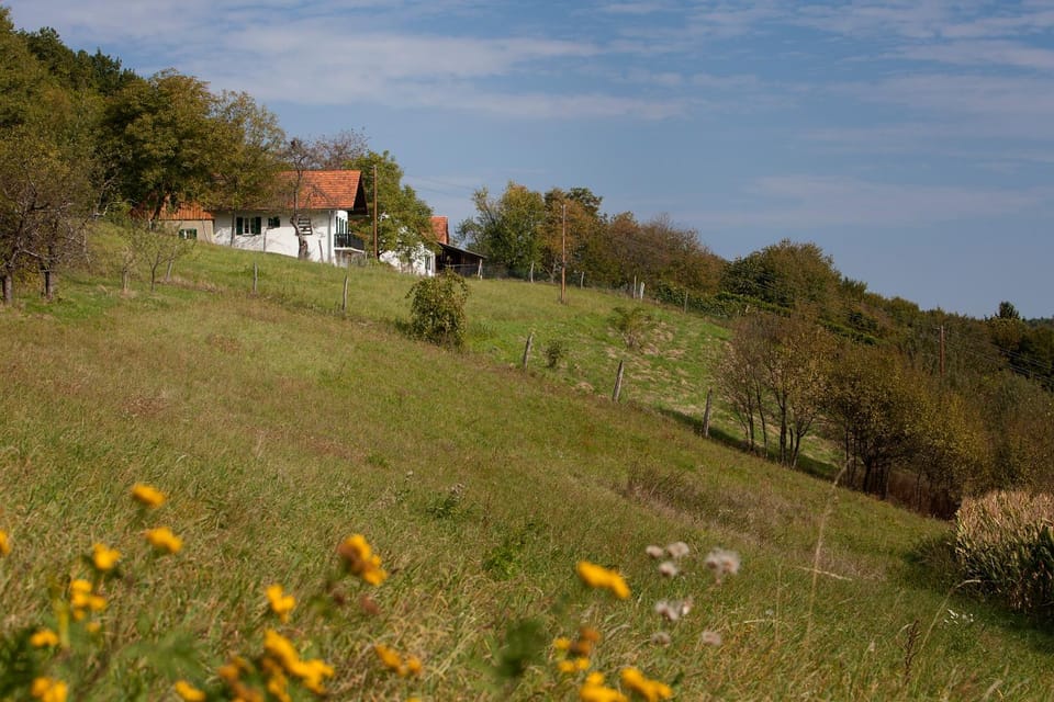 Weinbergstöckl Gombotz House in Styria