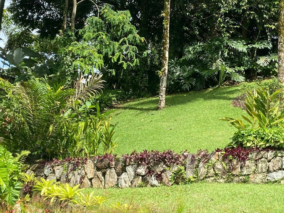Garden, Garden