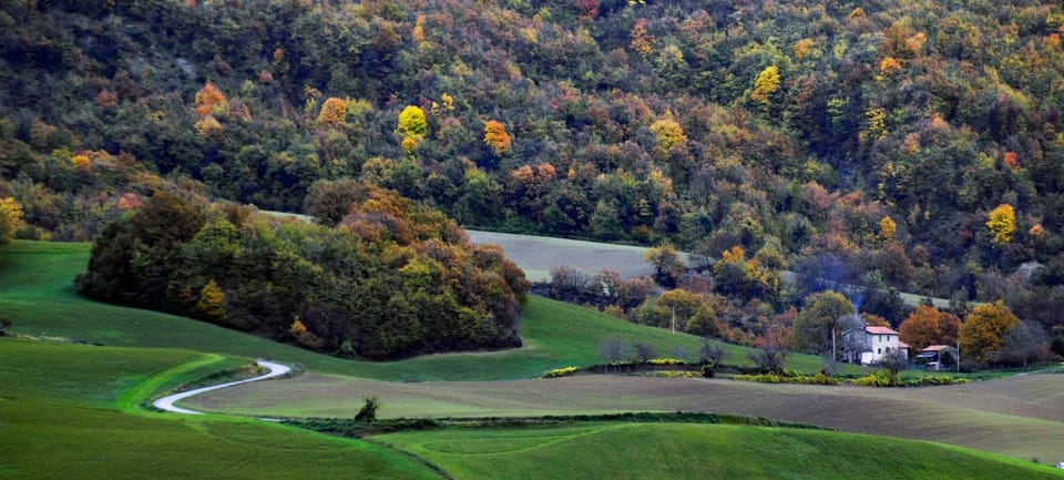 View (from property/room)