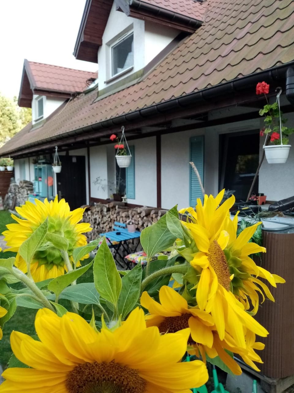 Cztery Pory Warmii Pluski pokoje do wynajęcia Apartment in Poland