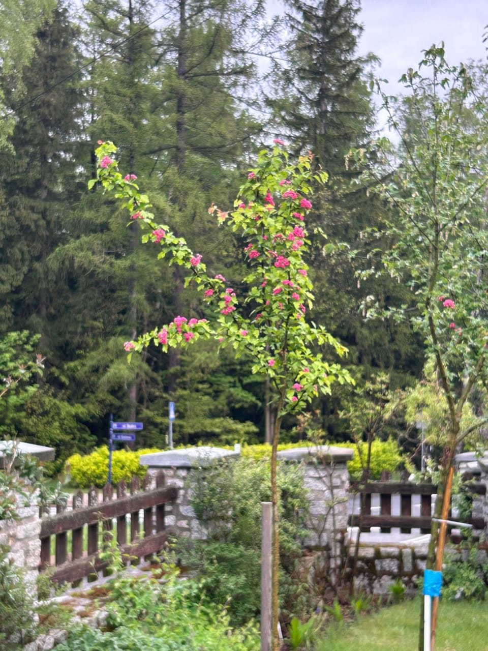 Willa Kaliniec Vacation rental in Lower Silesian Voivodeship