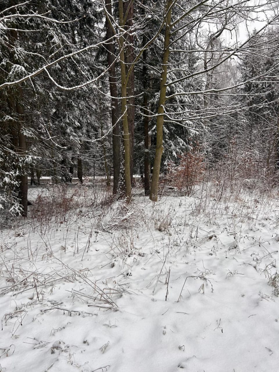 Willa Kaliniec Vacation rental in Lower Silesian Voivodeship