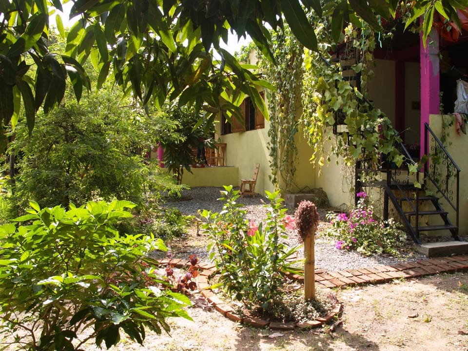 Patio, Garden, Garden
