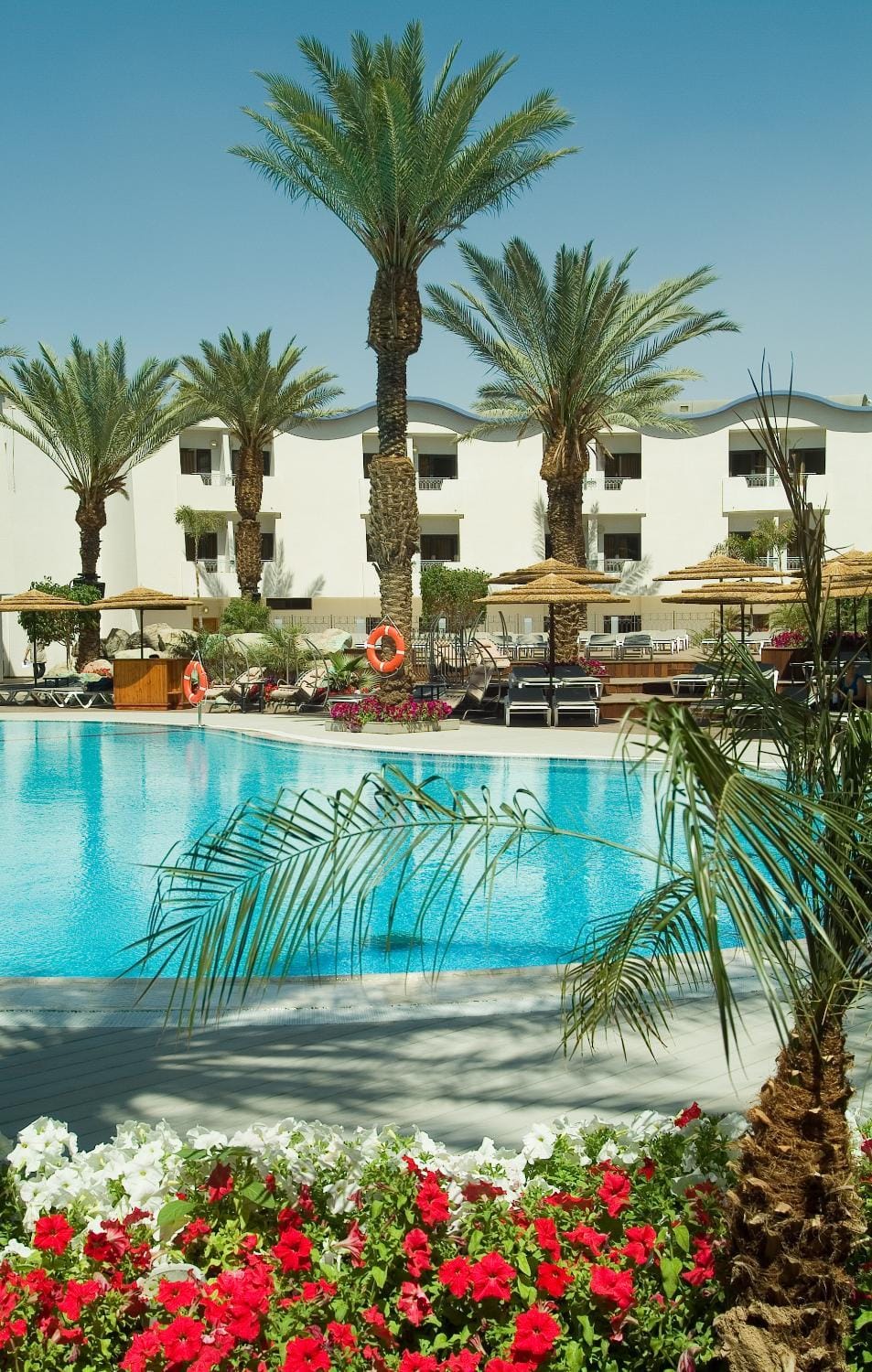 Swimming pool, Swimming pool